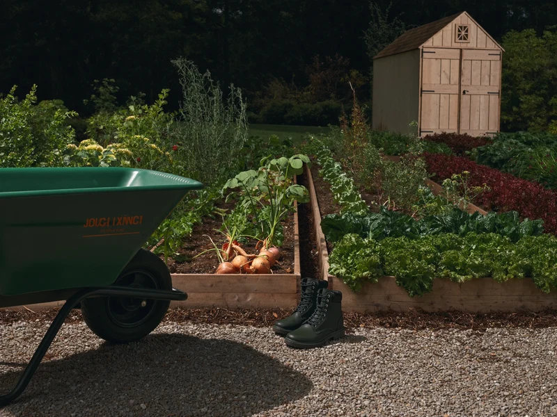 Illustrative allotment plot with tidy vegetable rows, a wheelbarrow and a small timber shed